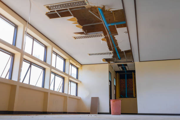 Best 24/7 water damage repair  in Greer, SC