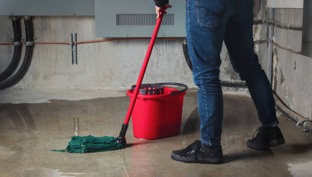  Greer, SC Water damage restoration Pros