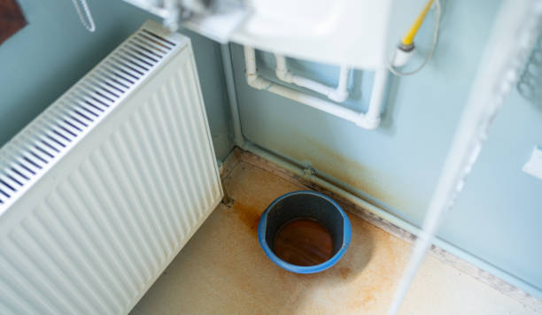 Best Carpet water damage restoration  in Greer, SC