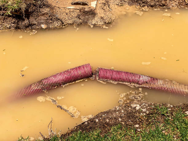 Best Sewage cleanup and water damage restoration  in Greer, SC
