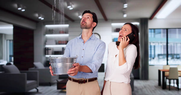 Best Mold removal after water damage  in Greer, SC